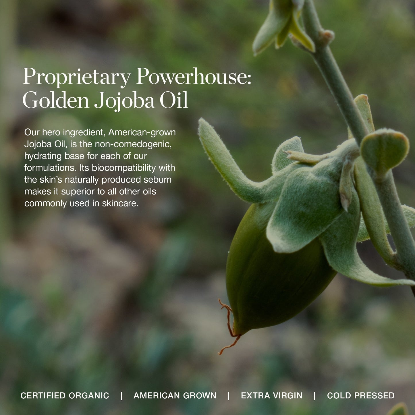 Skin Enhancing Primer SPF 40