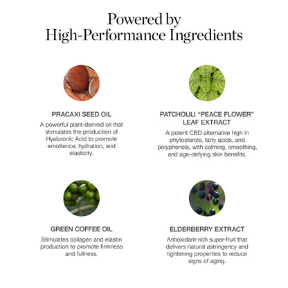 Sculpted Complexion Foundation Stick