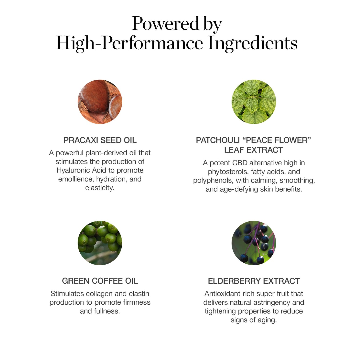 Sculpted Complexion Foundation Stick