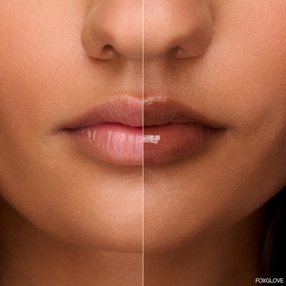 Espresso Trio Contour & Lip Set