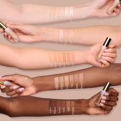 Complexion Perfecting Concealer