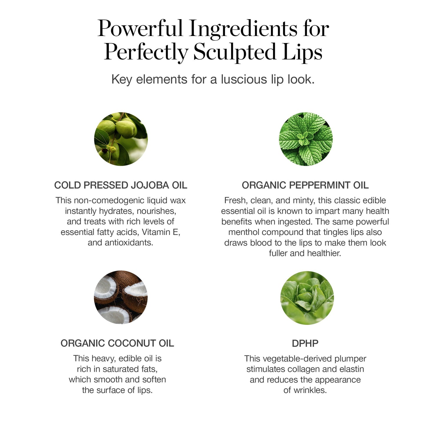 Tinted Sculpted Lip Oil