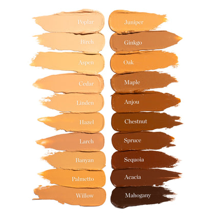 Sculpted Complexion Foundation Stick